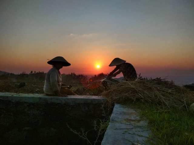 Detail Puisi Nyanyian Petani Di Sawah Nomer 20