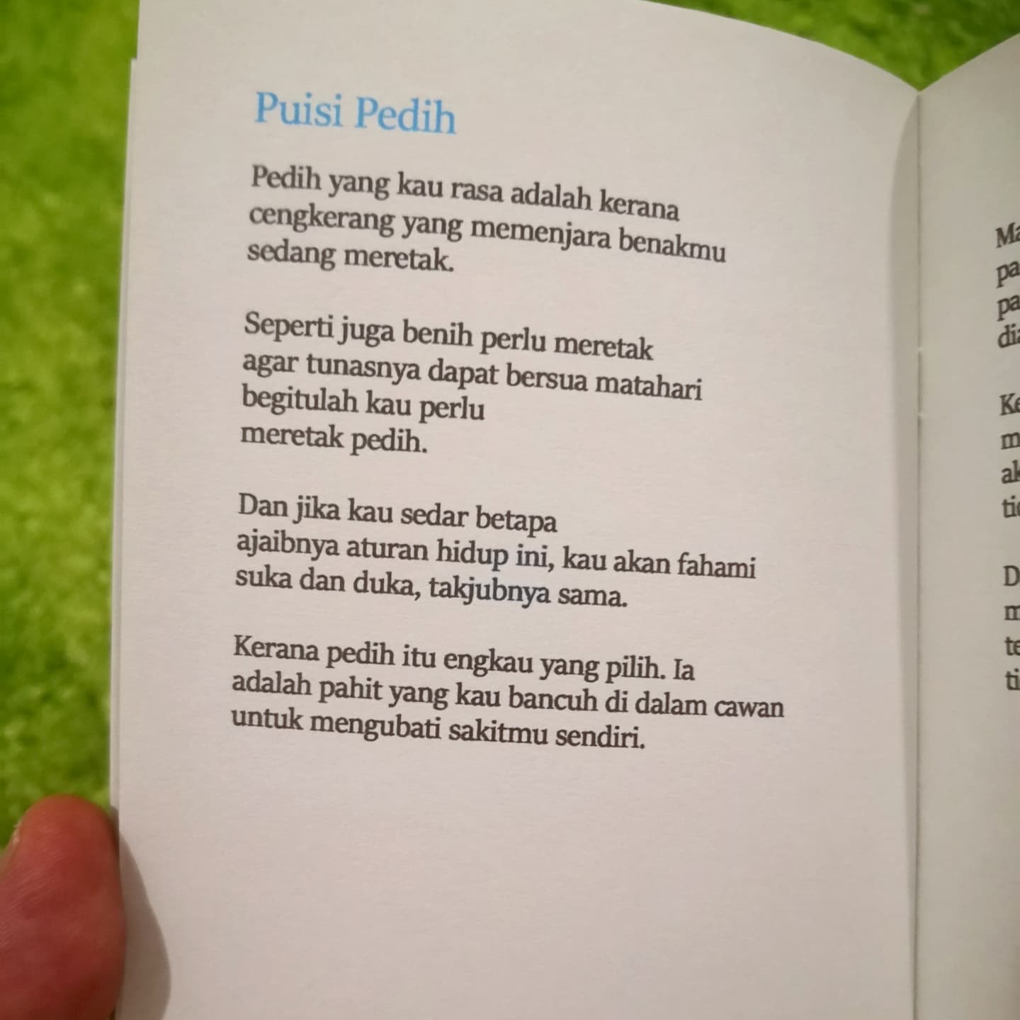 Detail Puisi Pahitnya Hidup Nomer 15