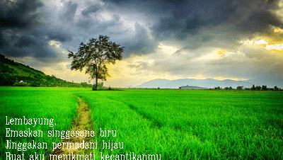 Detail Puisi Pemandangan Sawah Nomer 13