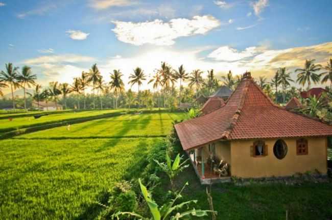 Detail Puisi Pemandangan Sawah Nomer 39