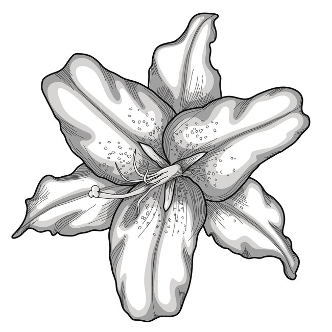 Detail Blumen Tattoo Vorlagen Zum Ausdrucken Nomer 2