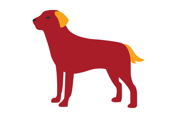 Detail Chinesischer Roter Hund Nomer 4