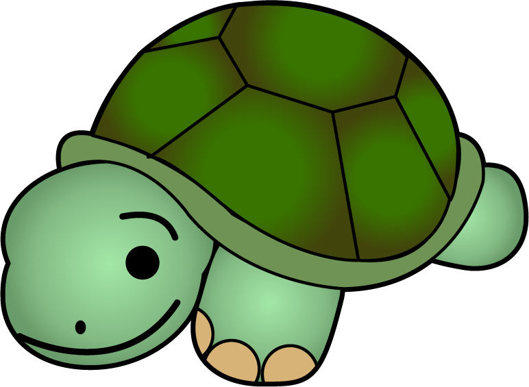 Detail Cute Turtle Pictures Nomer 12