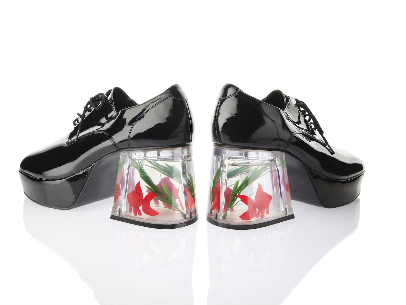 Disco Goldfish Shoes - KibrisPDR