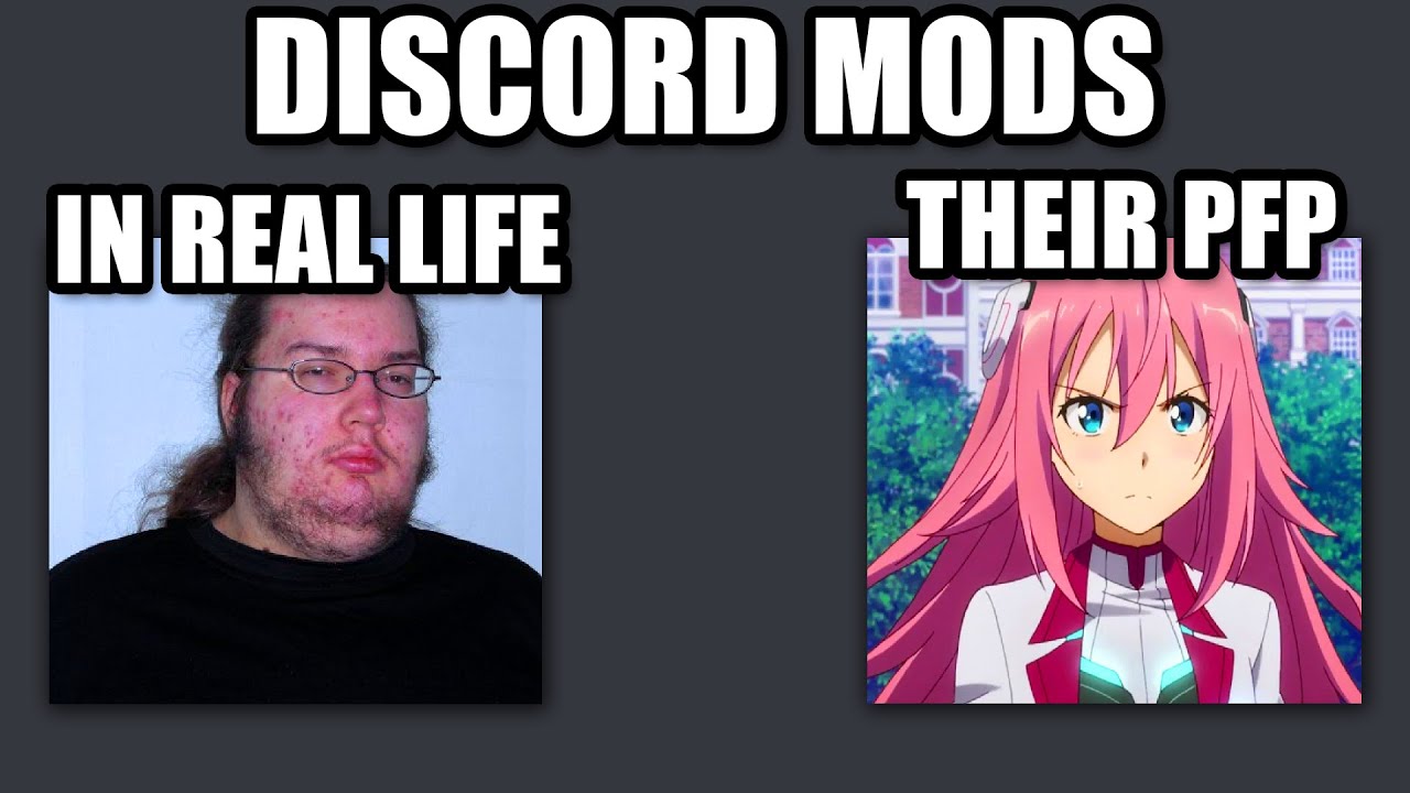 Detail Discord Mod Meme Nomer 8