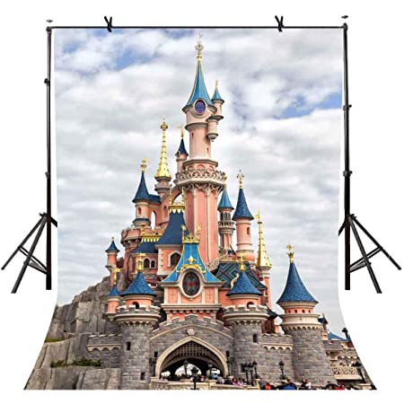 Detail Disney Castle Background Nomer 46