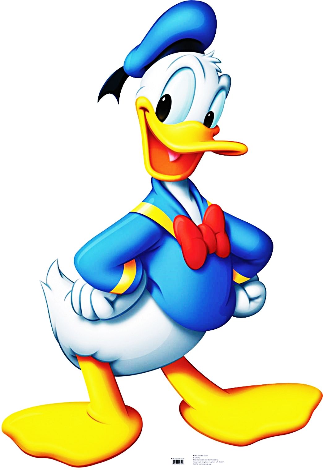 Detail Disney Characters Donald Duck Nomer 10