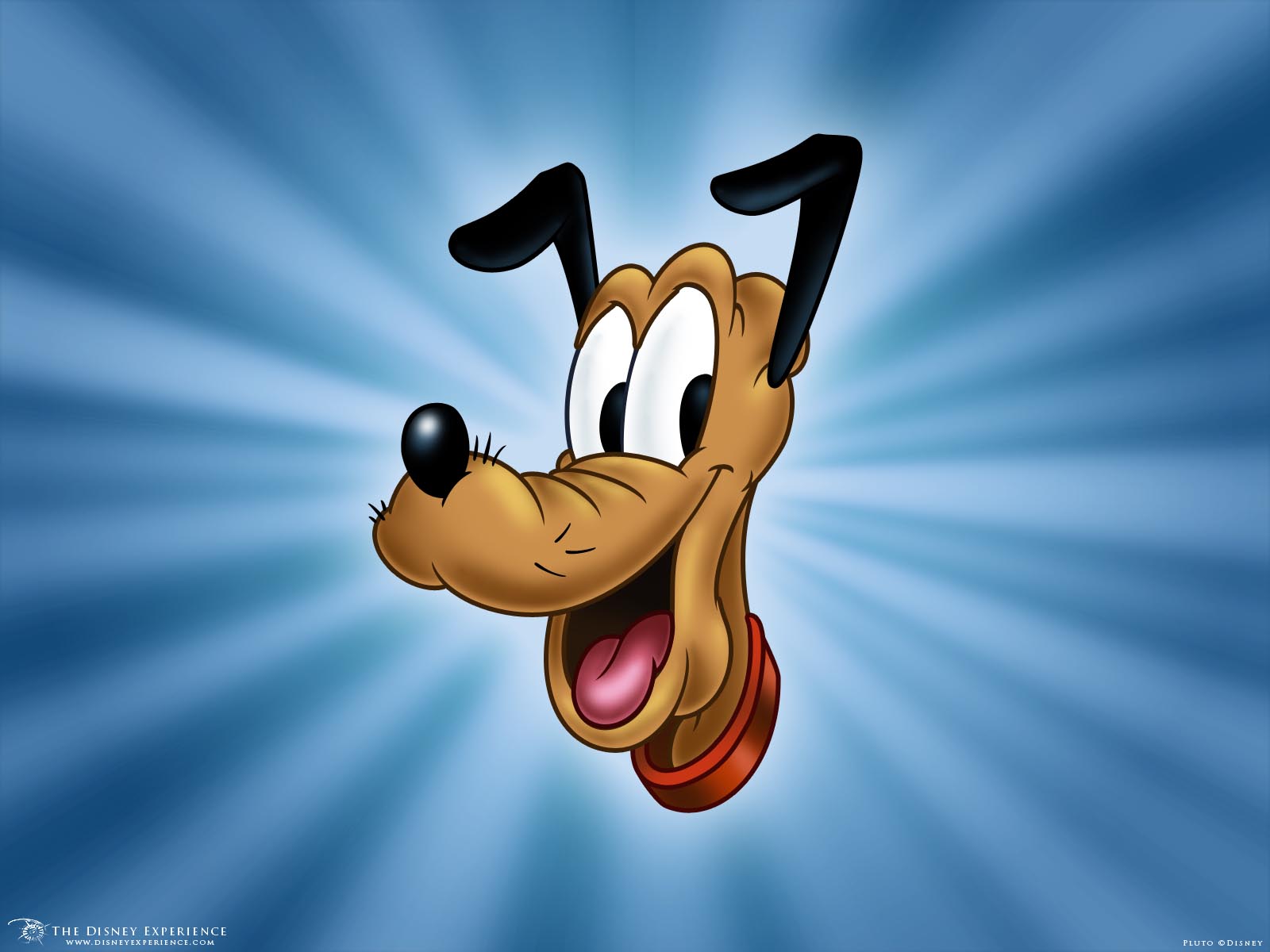 Detail Disney Pluto Images Nomer 27