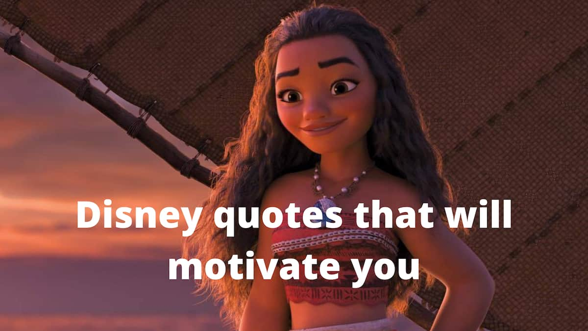 Detail Disney Quotes About Magic Nomer 42