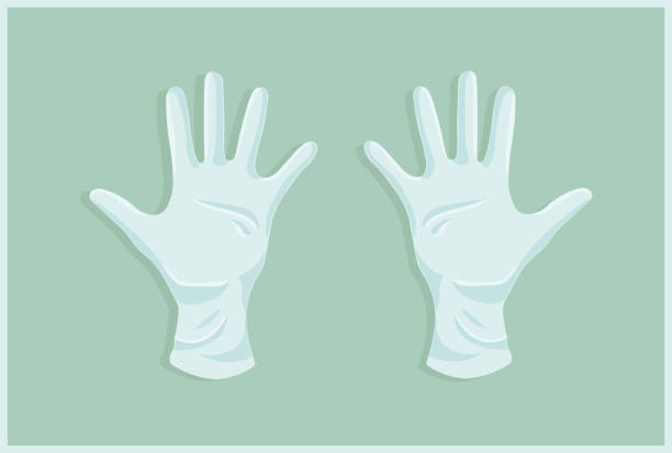 Detail Disposable Gloves Clipart Nomer 26