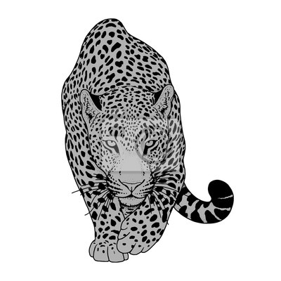 Detail Leopard Gezeichnet Nomer 9