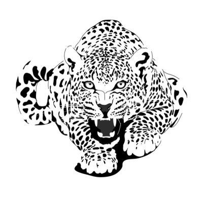 Detail Leopard Gezeichnet Nomer 6