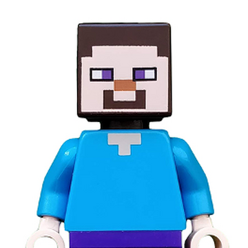 Detail Minecraft Steve Head Nomer 18