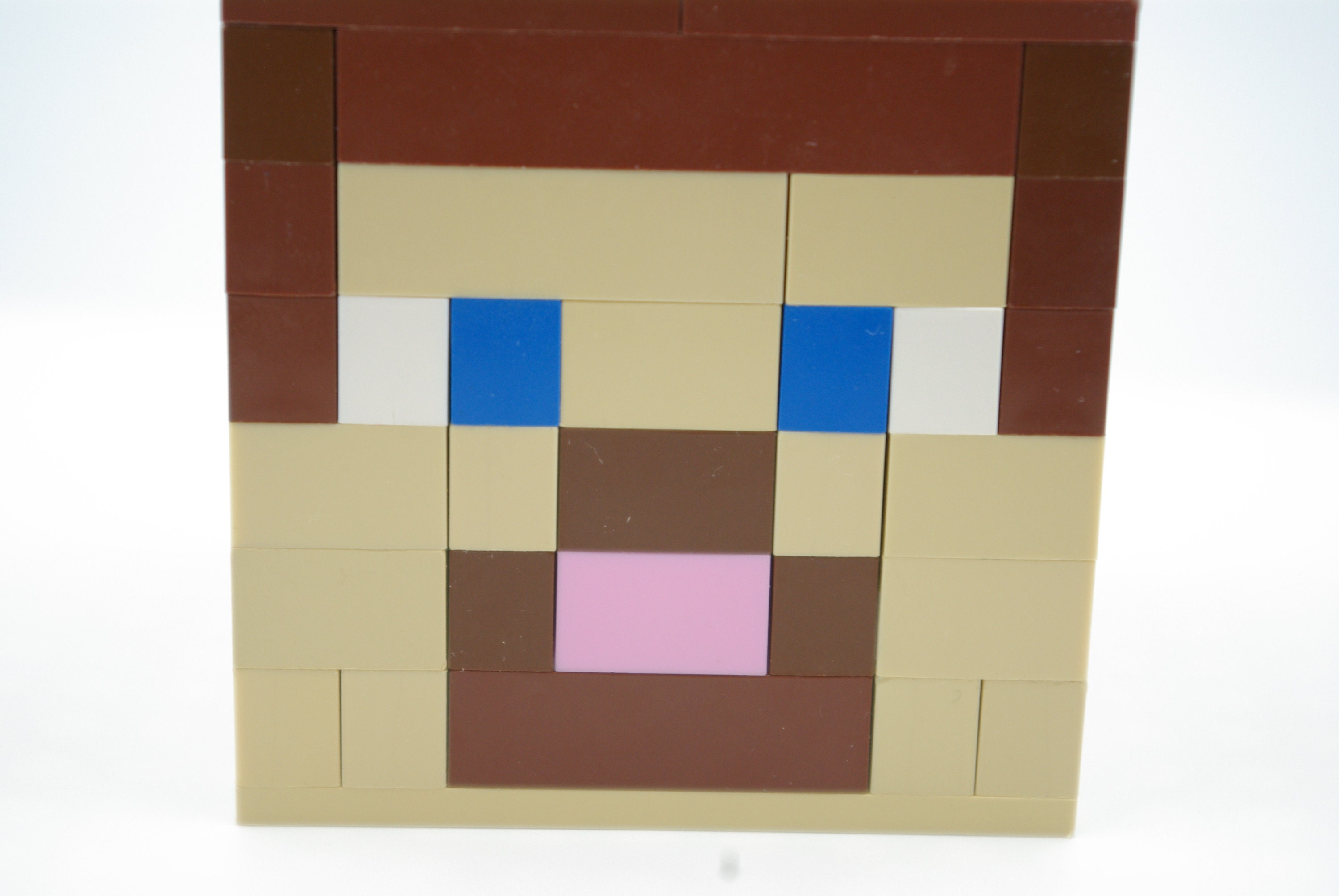 Detail Minecraft Steve Head Nomer 23