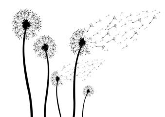 Detail Pusteblume Svg Free Nomer 12