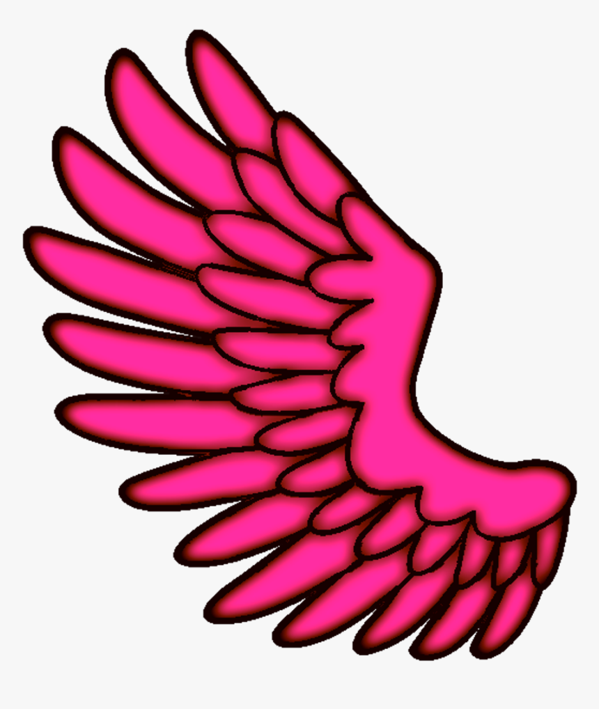 Detail Wings Pink Nomer 2