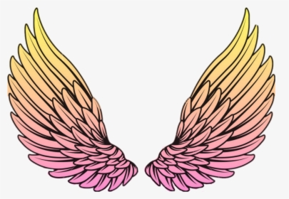 Detail Wings Pink Nomer 6