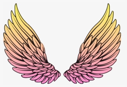 Detail Wings Pink Nomer 6