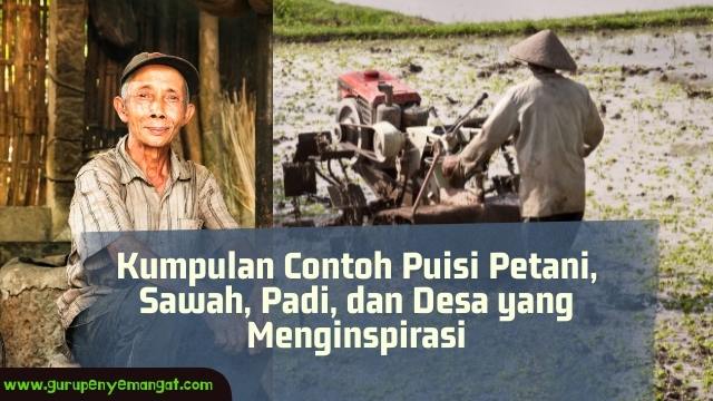 Detail Puisi Petani 4 Bait Nomer 9