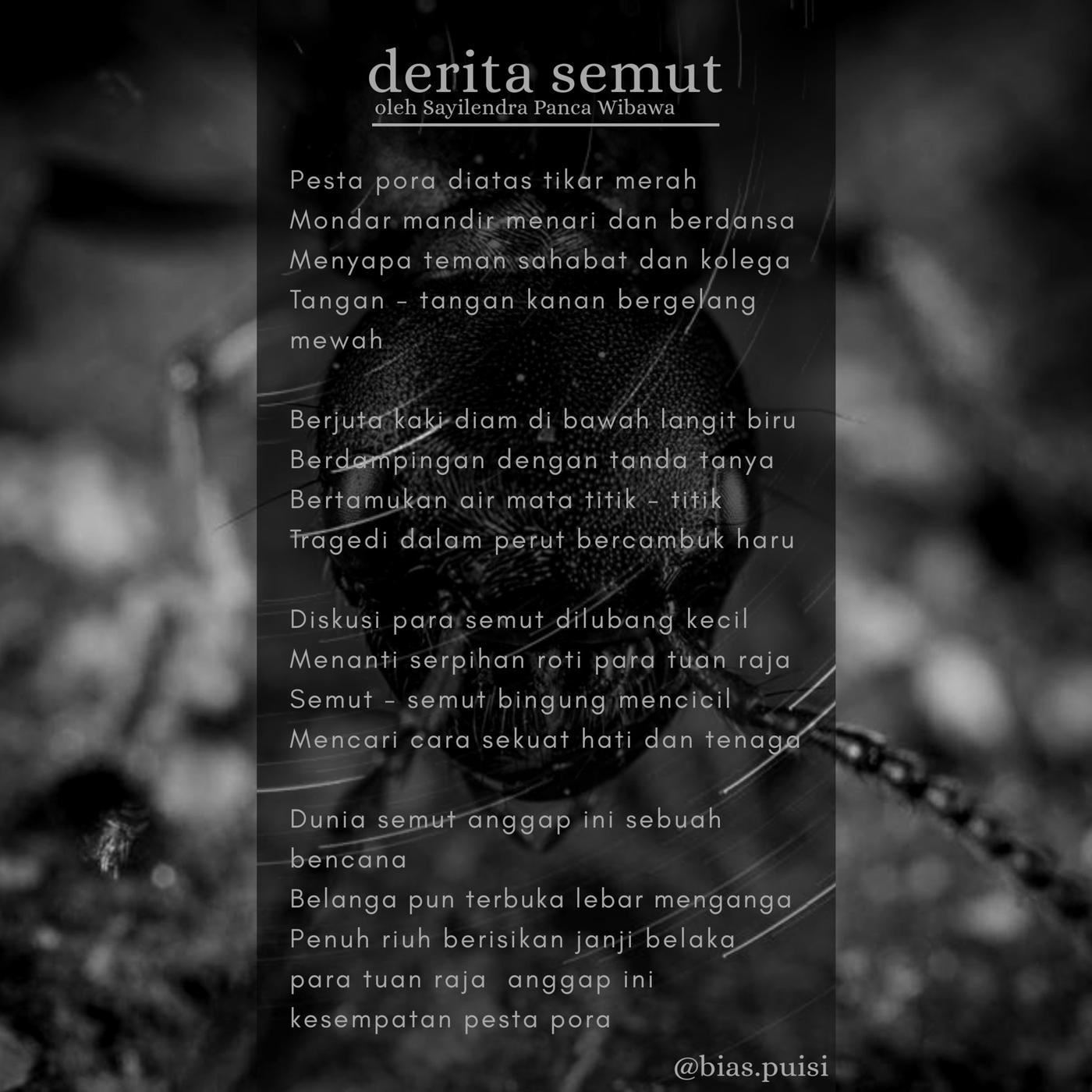 Detail Puisi Semut Kecil Nomer 8