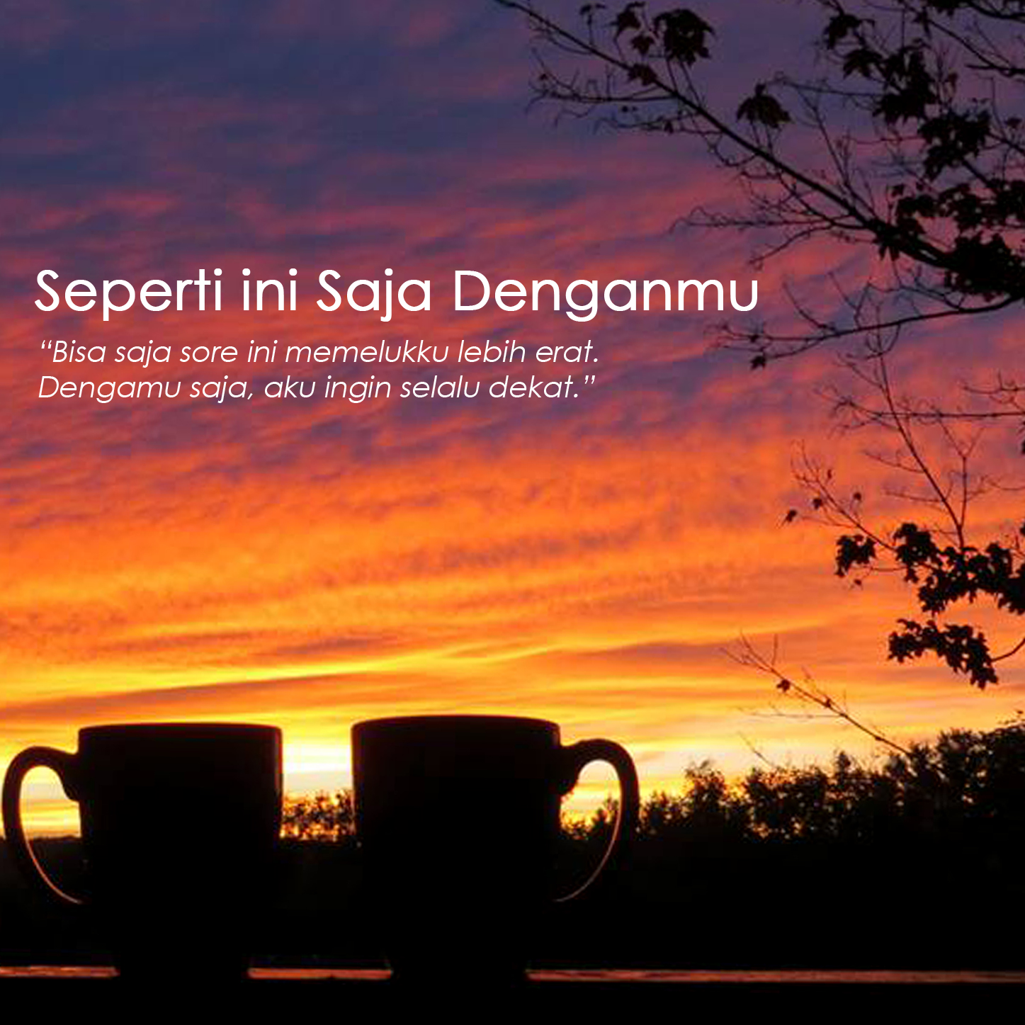 Detail Puisi Senja Sore Nomer 17