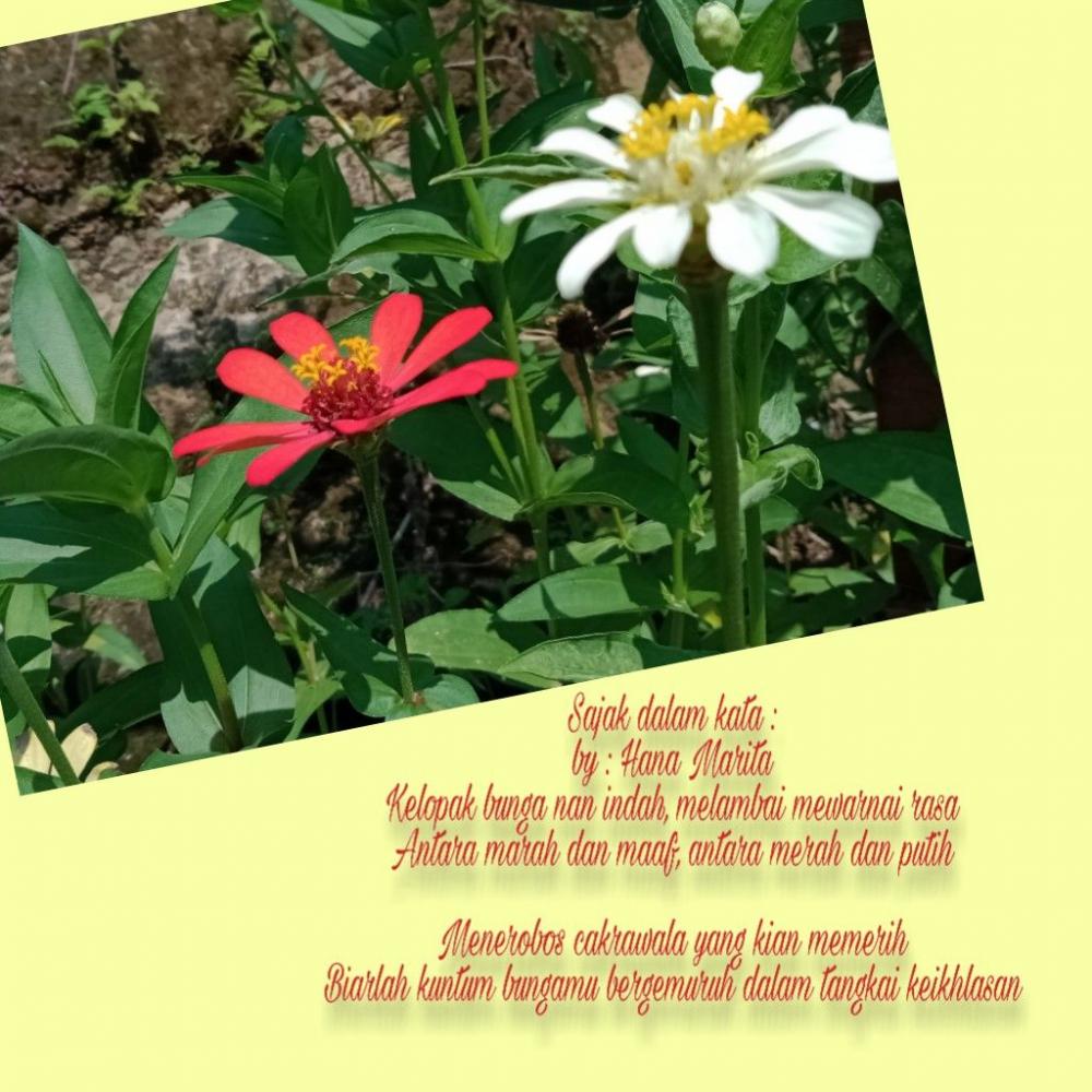 Detail Puisi Singkat Tentang Bunga Nomer 14