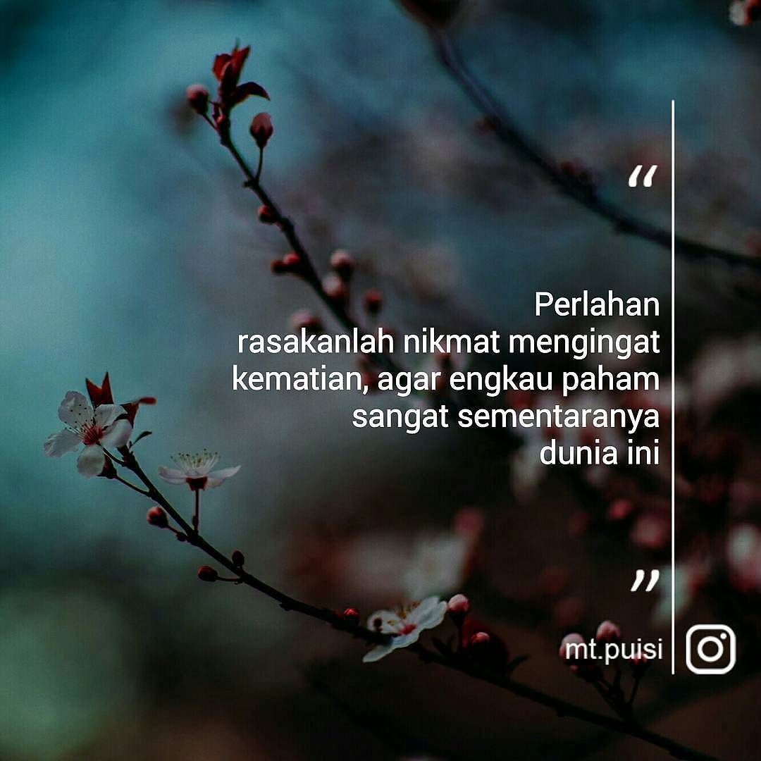 Detail Puisi Singkat Tentang Kematian Nomer 29