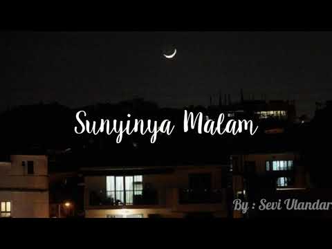 Detail Puisi Sunyinya Malam Nomer 27