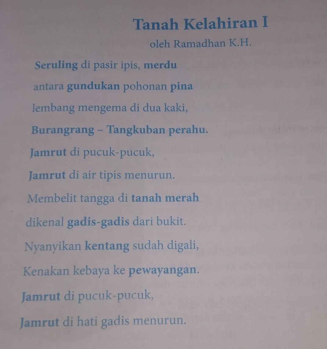 Detail Puisi Tanah Kelahiran Nomer 48