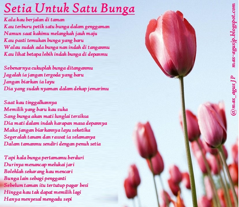 Detail Puisi Tema Bunga Nomer 38
