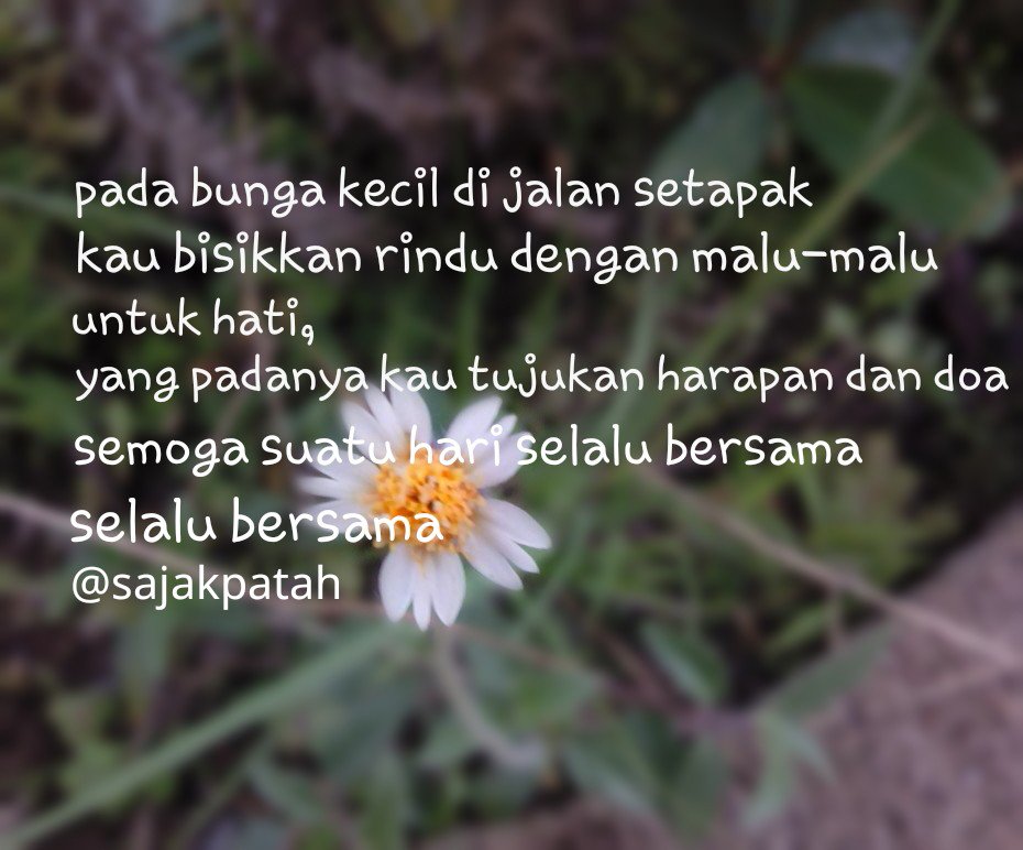 Detail Puisi Tema Bunga Nomer 43