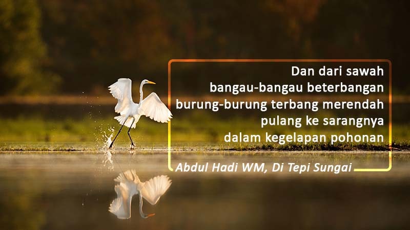 Detail Puisi Tema Pemandangan Nomer 33