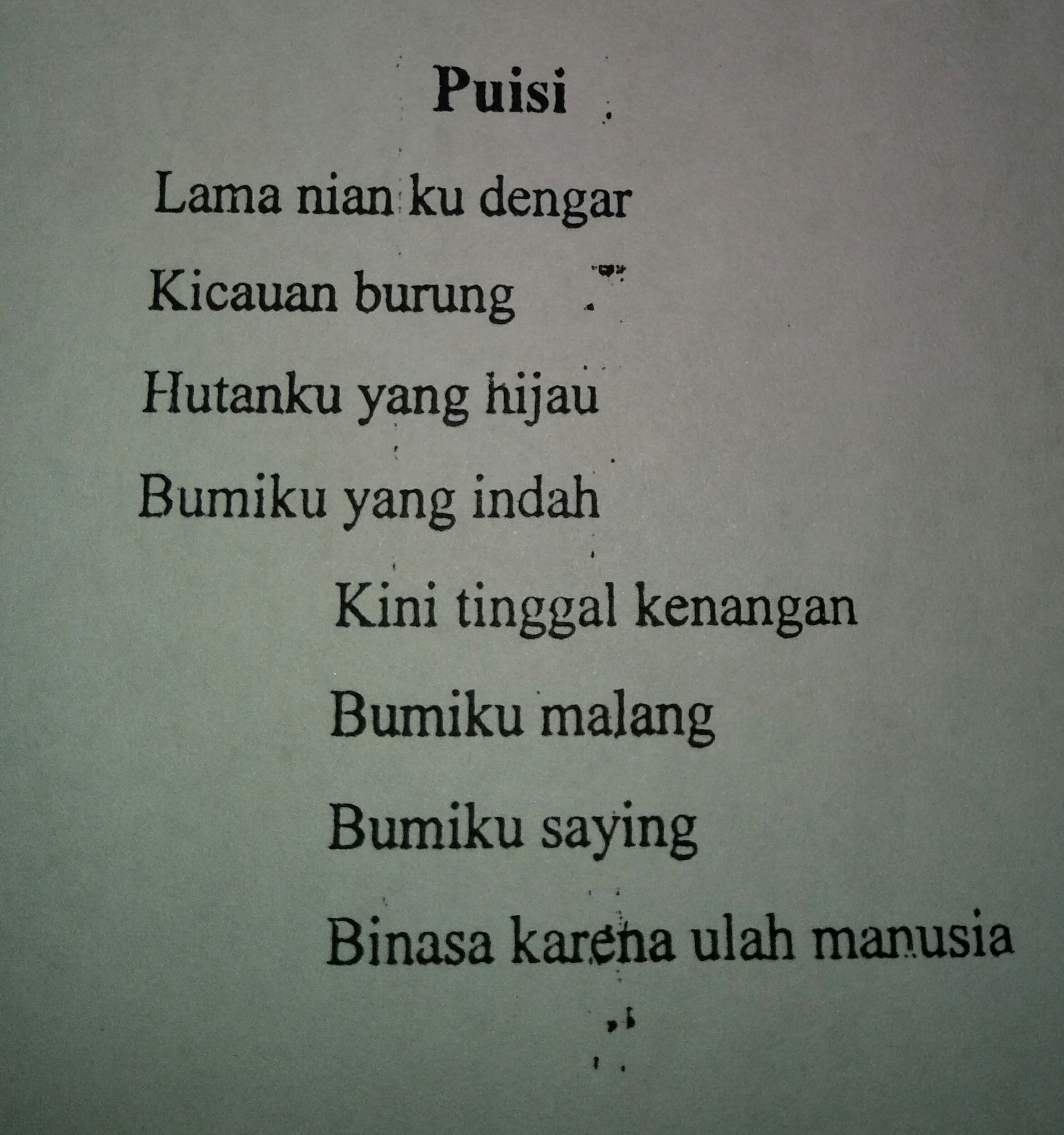 Detail Puisi Tentang Bumiku Nomer 10