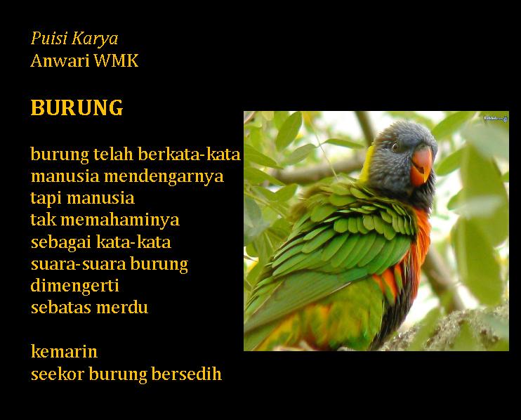 Detail Puisi Tentang Hewan Burung Nomer 2