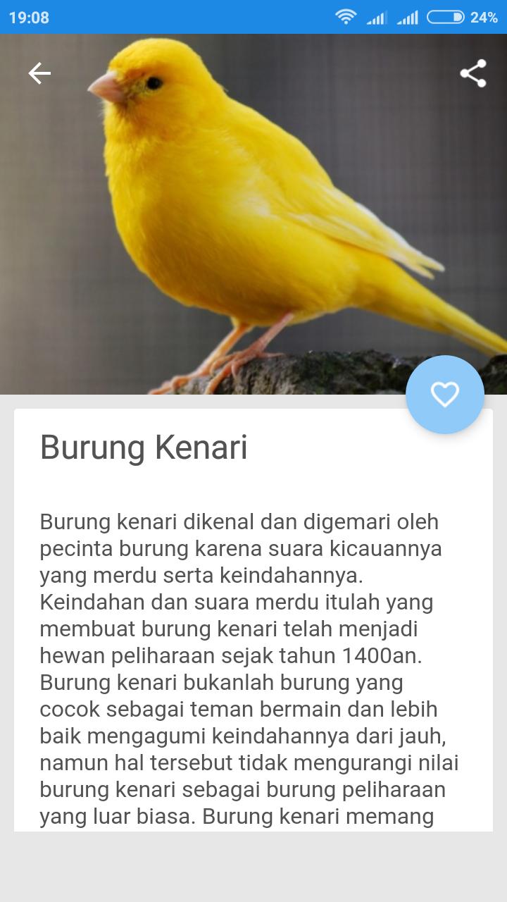 Detail Puisi Tentang Hewan Burung Nomer 17