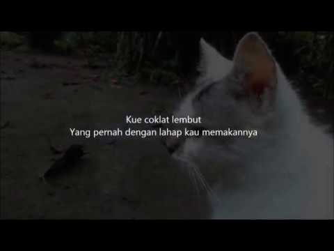 Detail Puisi Tentang Hewan Kucing Nomer 35