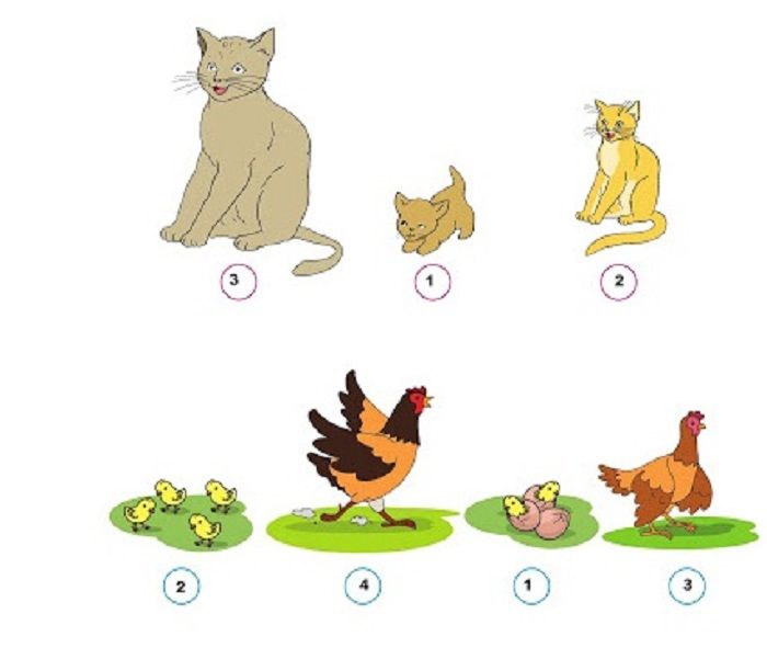 Detail Puisi Tentang Hewan Peliharaan Ayam Nomer 17
