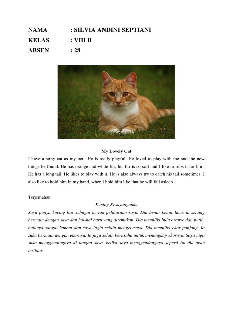 Detail Puisi Tentang Hewan Peliharaan Kucing Nomer 5