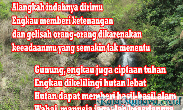 Detail Puisi Tentang Hutan Nomer 11