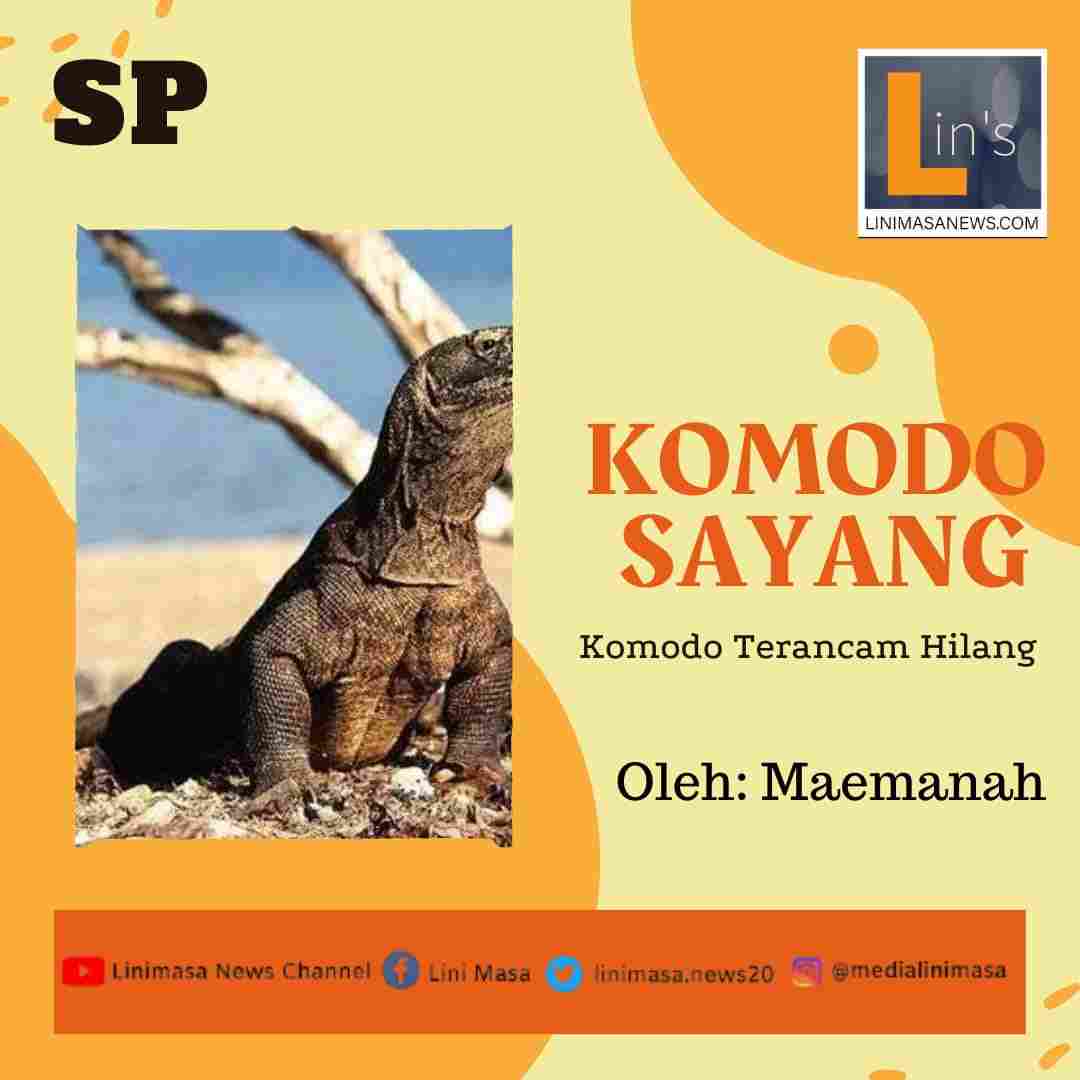 Detail Puisi Tentang Komodo Nomer 18