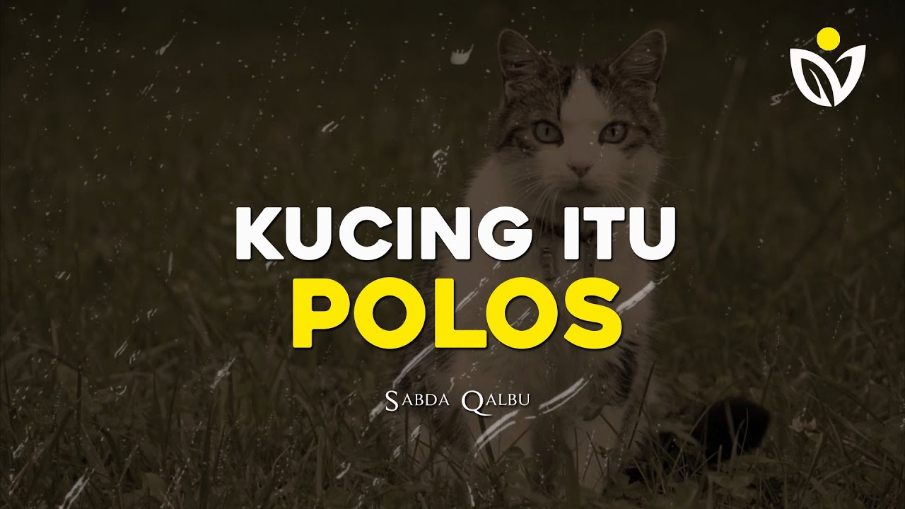 Detail Puisi Tentang Kucing Nomer 39