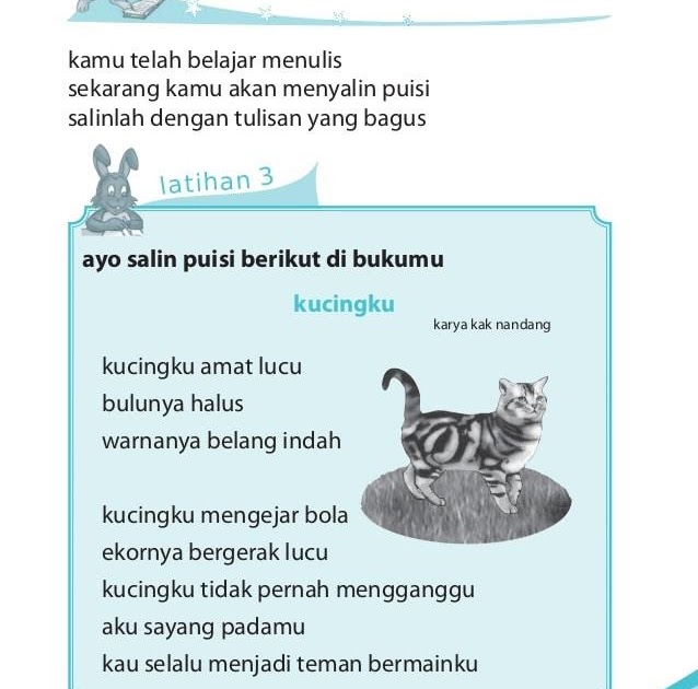 Puisi Tentang Kucing Kesayangan - KibrisPDR