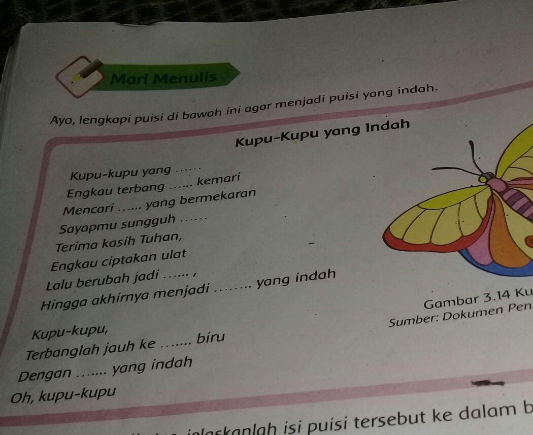 Detail Puisi Tentang Kupu Kupu Nomer 40