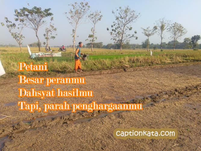 Detail Puisi Tentang Petani Nomer 24