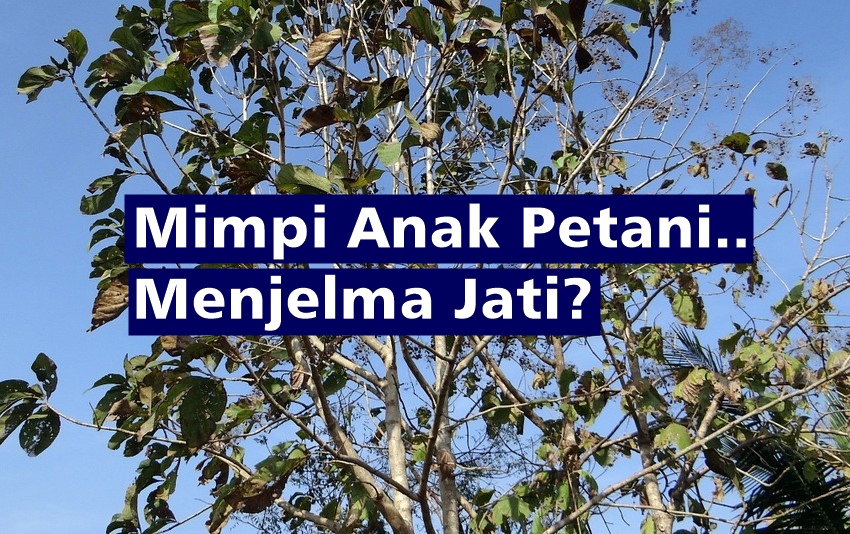 Detail Puisi Tentang Petani Nomer 30