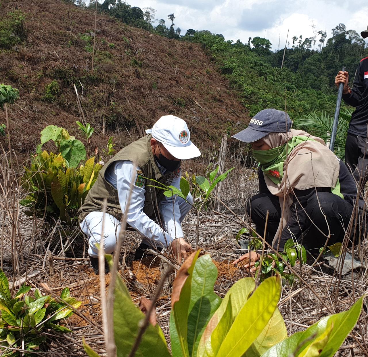 Detail Puisi Tentang Reboisasi Nomer 40