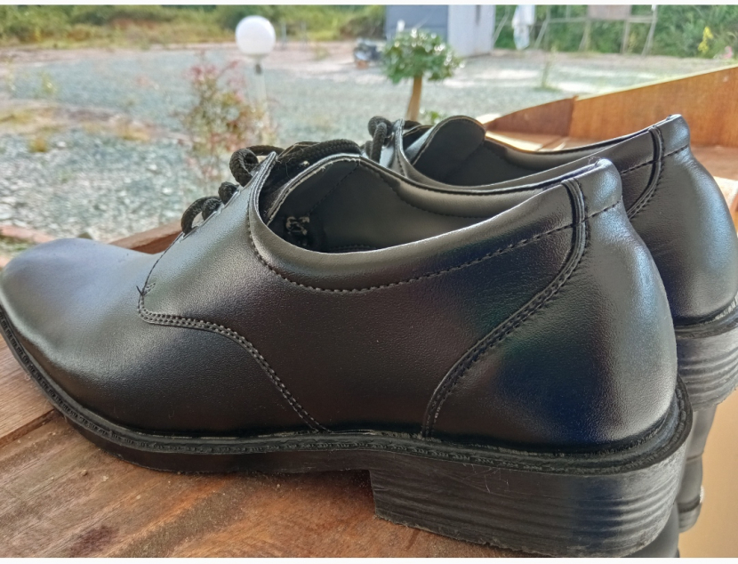 Detail Puisi Tentang Sepatu Nomer 45