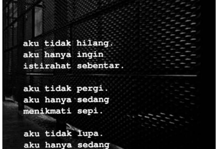 Detail Puisi Tentang Sepi Nomer 31