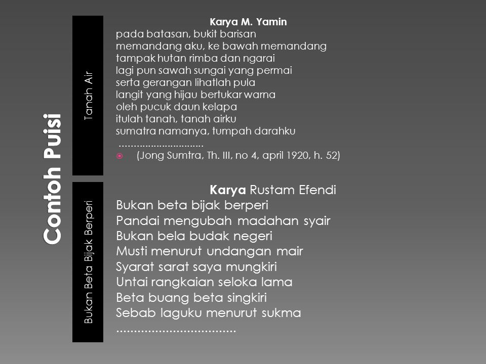 Detail Puisi Tentang Tanah Air Nomer 43