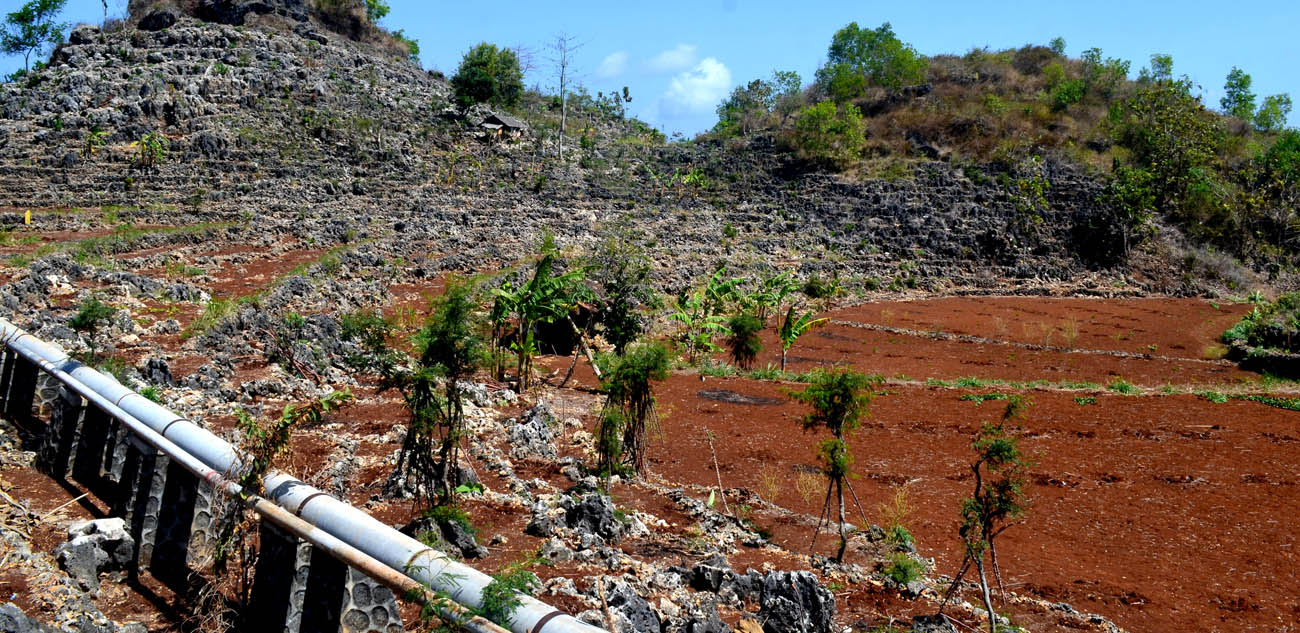 Detail Puisi Tentang Tanah Pertanian Nomer 48